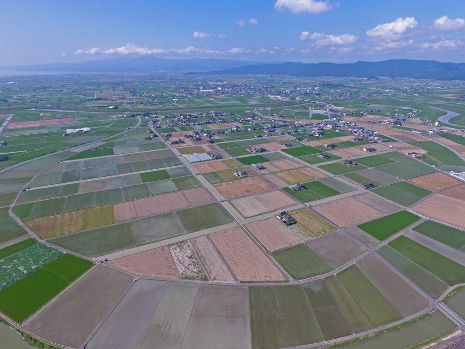 dji_0012.png